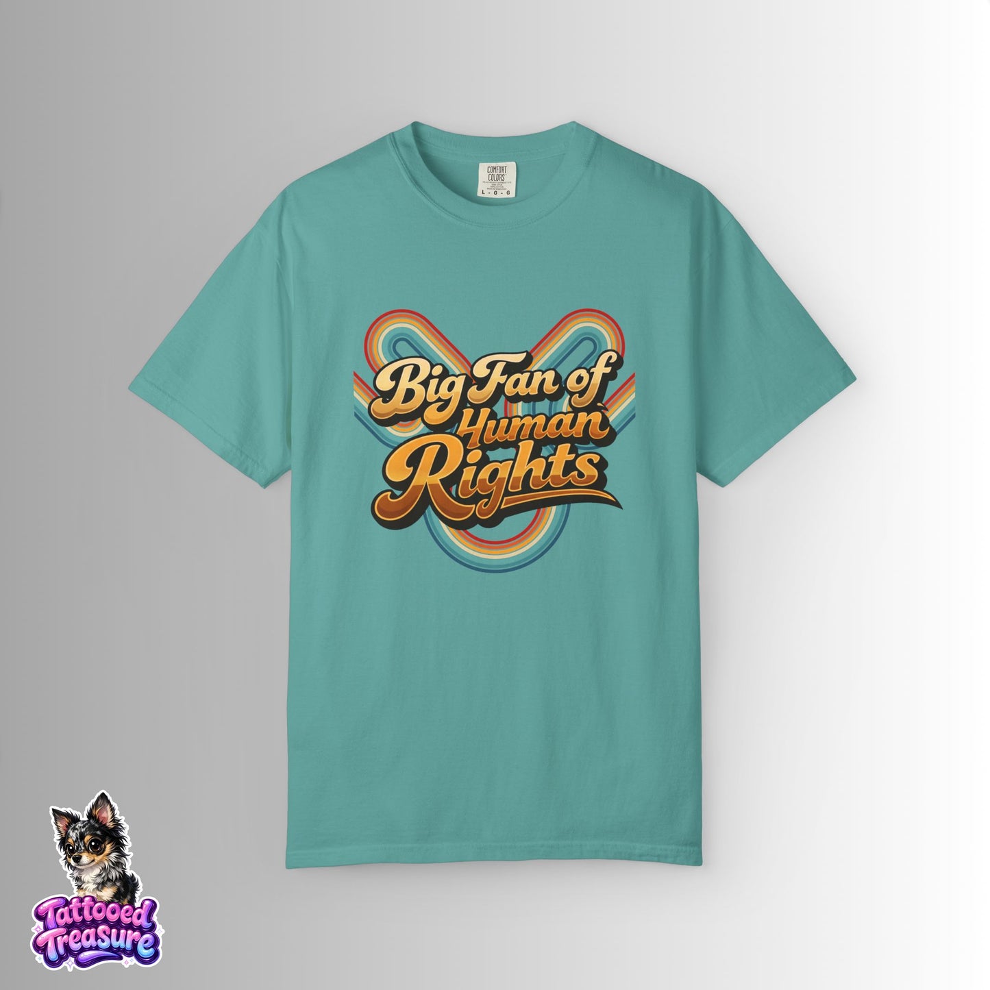 Big Fan of Human Rights T-Shirt